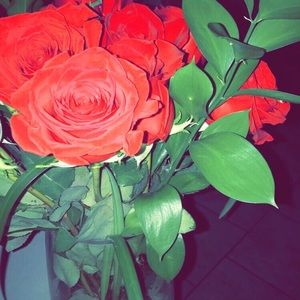 Meet your Posher, Jacquelyn